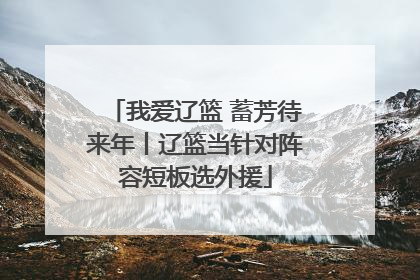 我爱辽篮 蓄芳待来年丨辽篮当针对阵容短板选外援