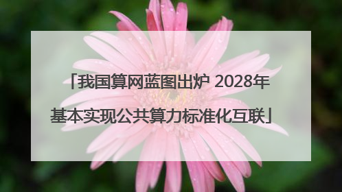 我国算网蓝图出炉 2028年基本实现公共算力标准化互联