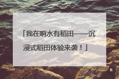 我在响水有稻田——沉浸式稻田体验来袭！