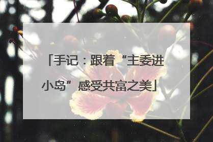 手记：跟着“主委进小岛”感受共富之美