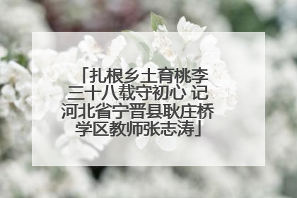 扎根乡土育桃李 三十八载守初心 记河北省宁晋县耿庄桥学区教师张志涛