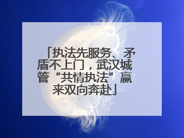 执法先服务、矛盾不上门，武汉城管“共情执法”赢来双向奔赴
