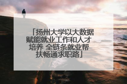 扬州大学以大数据赋能就业工作和人才培养 全链条就业帮扶畅通求职路