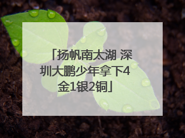 扬帆南太湖 深圳大鹏少年拿下4金1银2铜