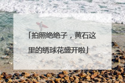 拍照绝绝子，黄石这里的绣球花盛开啦