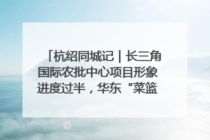杭绍同城记｜长三角国际农批中心项目形象进度过半，华东“菜篮子”建设加码提速！