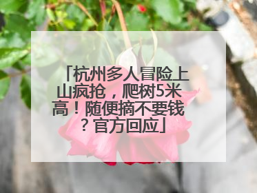 杭州多人冒险上山疯抢，爬树5米高！随便摘不要钱？官方回应