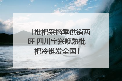 枇杷采摘季供销两旺 四川宝兴晚熟枇杷冷链发全国