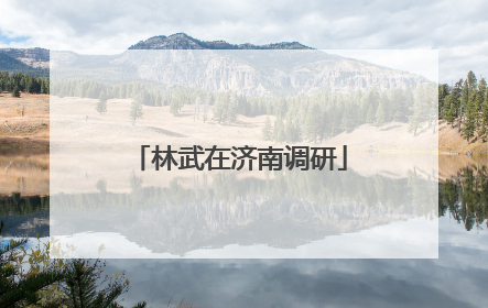 林武在济南调研