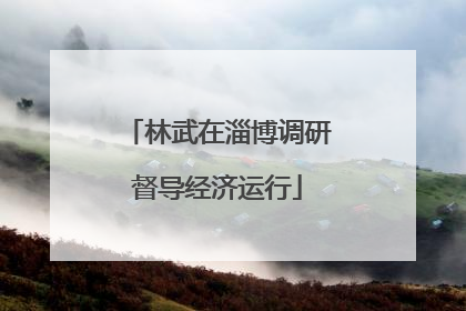 林武在淄博调研督导经济运行