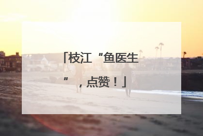 枝江“鱼医生”，点赞！