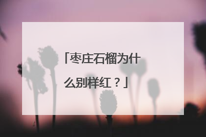 枣庄石榴为什么别样红？