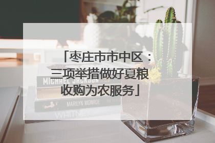 枣庄市市中区：三项举措做好夏粮收购为农服务
