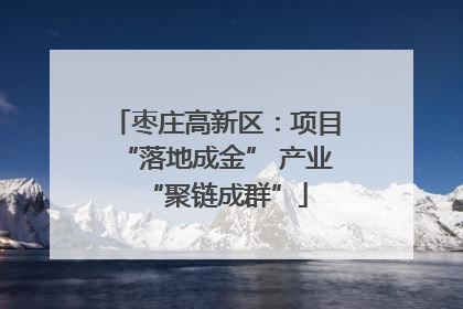 枣庄高新区：项目“落地成金” 产业“聚链成群”