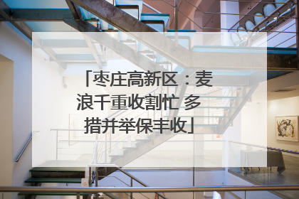 枣庄高新区：麦浪千重收割忙 多措并举保丰收