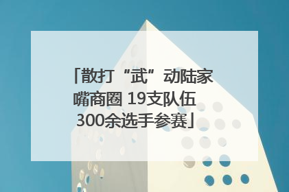 散打“武”动陆家嘴商圈 19支队伍300余选手参赛