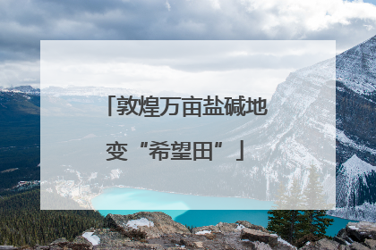 敦煌万亩盐碱地变“希望田”