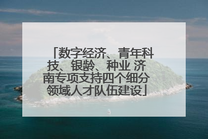 数字经济、青年科技、银龄、种业 济南专项支持四个细分领域人才队伍建设