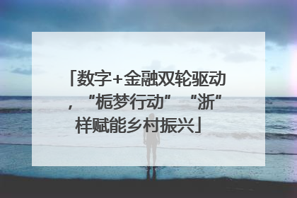 数字+金融双轮驱动，“栀梦行动”“浙”样赋能乡村振兴