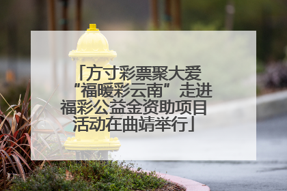 方寸彩票聚大爱 “福暖彩云南”走进福彩公益金资助项目活动在曲靖举行