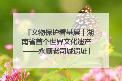 文物保护看基层｜湖南省首个世界文化遗产——永顺老司城遗址