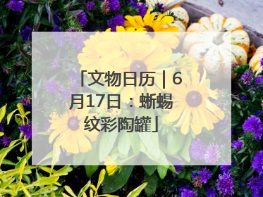 文物日历｜6月17日：蜥蜴纹彩陶罐