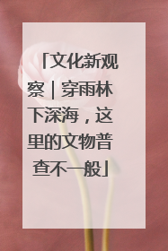 文化新观察｜穿雨林下深海，这里的文物普查不一般