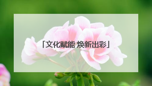 文化赋能 焕新出彩
