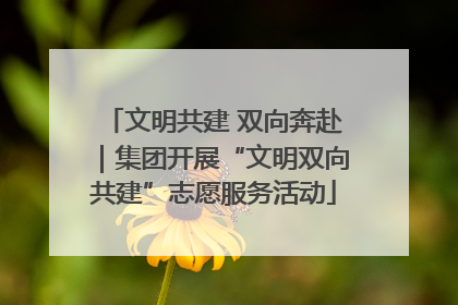 文明共建 双向奔赴｜集团开展“文明双向共建”志愿服务活动