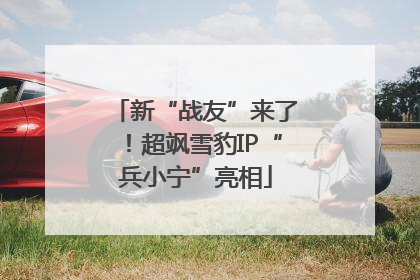 新“战友”来了！超飒雪豹IP“兵小宁”亮相