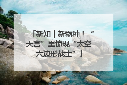 新知｜新物种！“天宫”里惊现“太空六边形战士”