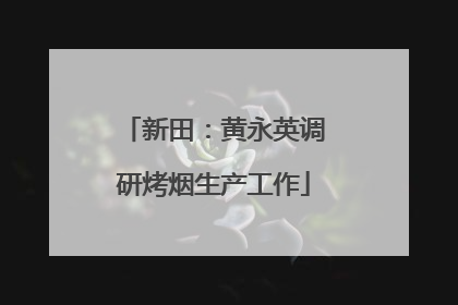 新田：黄永英调研烤烟生产工作