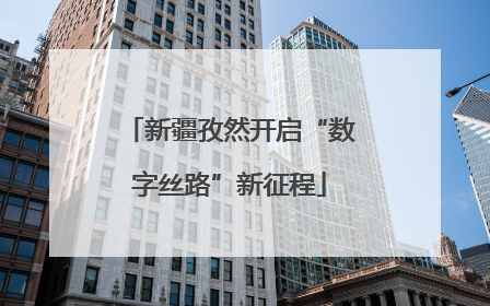 新疆孜然开启“数字丝路”新征程
