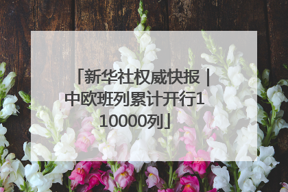 新华社权威快报｜中欧班列累计开行110000列