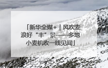 新华全媒+｜风吹麦浪好“丰”景——多地小麦机收一线见闻