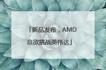 新品发布，AMD意欲挑战英伟达