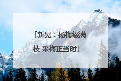 新晃：杨梅缀满枝 采梅正当时