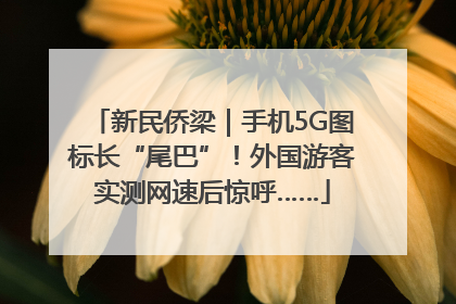新民侨梁｜手机5G图标长“尾巴”！外国游客实测网速后惊呼……