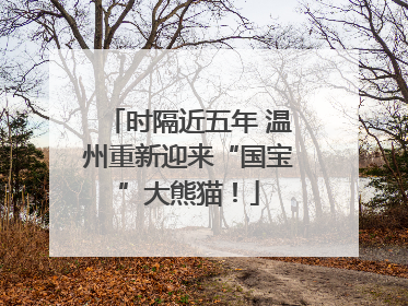 时隔近五年 温州重新迎来“国宝”大熊猫！