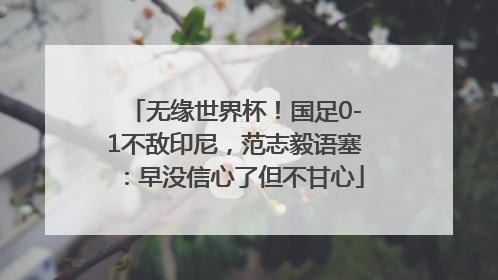 无缘世界杯！国足0-1不敌印尼，范志毅语塞：早没信心了但不甘心