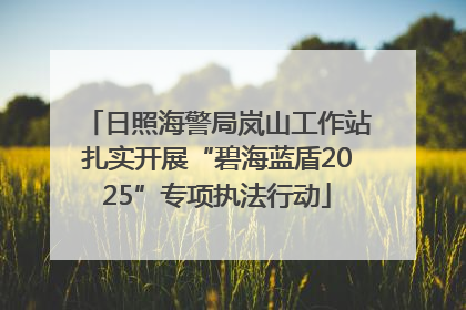 日照海警局岚山工作站扎实开展“碧海蓝盾2025”专项执法行动