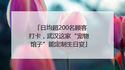 日均超200名顾客打卡，武汉这家“宠物馆子”能定制生日宴