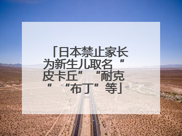 日本禁止家长为新生儿取名“皮卡丘”“耐克”“布丁”等