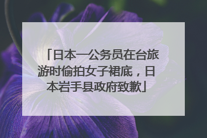 日本一公务员在台旅游时偷拍女子裙底，日本岩手县政府致歉