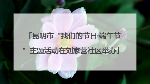 昆明市“我们的节日·端午节”主题活动在刘家营社区举办