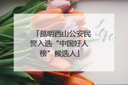 昆明西山公安民警入选“中国好人榜”候选人