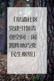 星浦社区党建引领青创空间：闲置阵地巧变民生枢纽