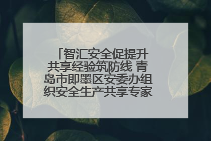 智汇安全促提升 共享经验筑防线 青岛市即墨区安委办组织安全生产共享专家现场观摩学习活动