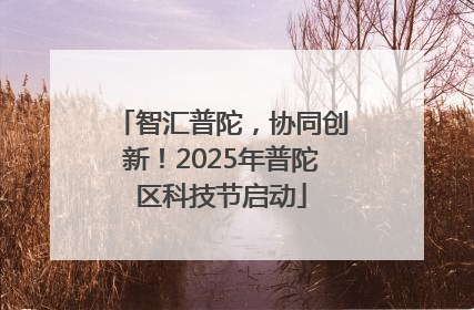 智汇普陀，协同创新！2025年普陀区科技节启动