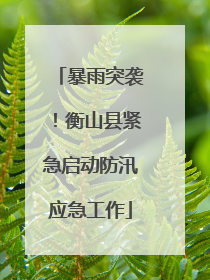 暴雨突袭！衡山县紧急启动防汛应急工作